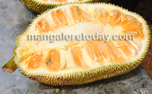 Jack Fruit Mela